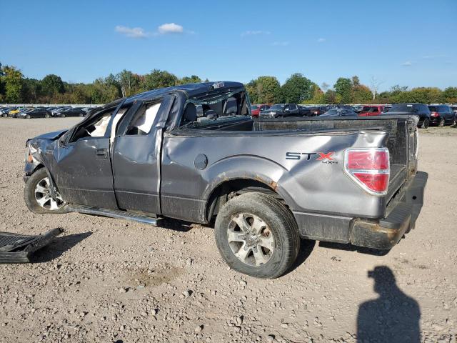 1FTFX1EF8DFB48716 - 2013 FORD F150 SUPER CAB GRAY photo 2