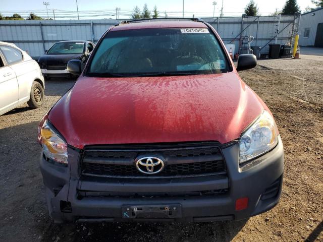 2T3BF4DV0AW069305 - 2010 TOYOTA RAV4 RED photo 5