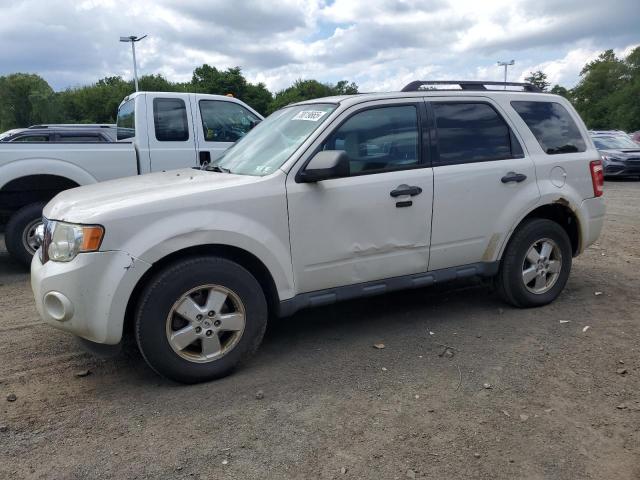 2012 FORD ESCAPE XLT, null