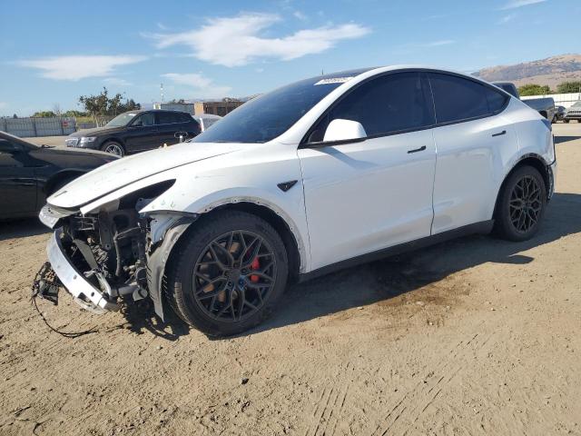 2023 TESLA MODEL Y, 