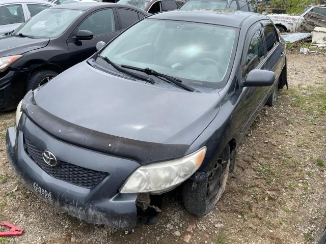 2009 TOYOTA COROLLA BASE, null