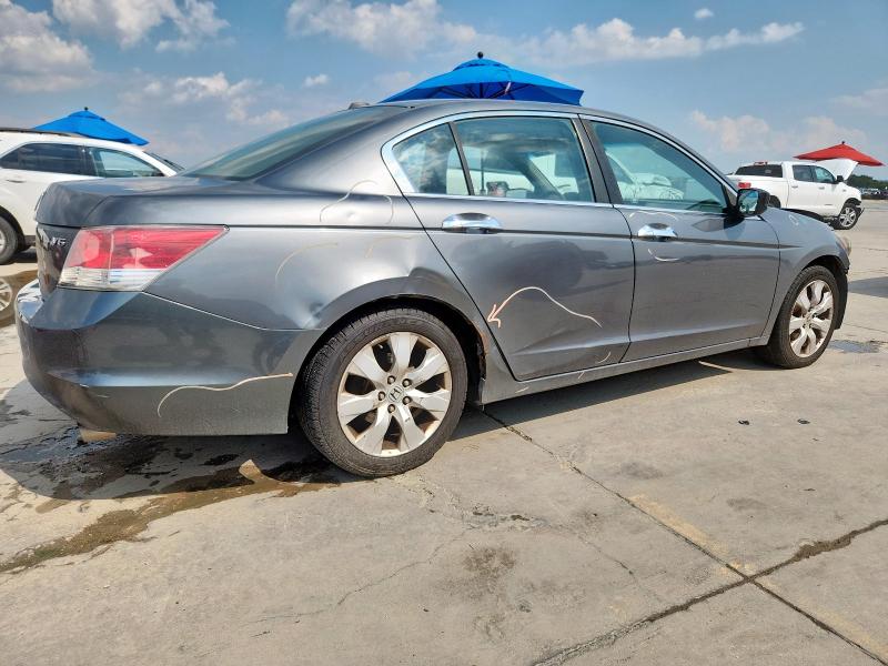 1HGCP368X8A021887 - 2008 HONDA ACCORD EXL Gris photo 3