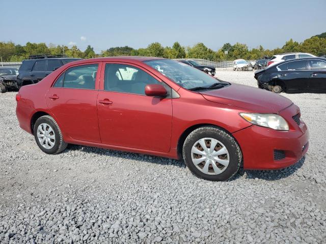 1NXBU40E49Z058596 - 2009 TOYOTA COROLLA BASE Kırmızı fotoğraf 4