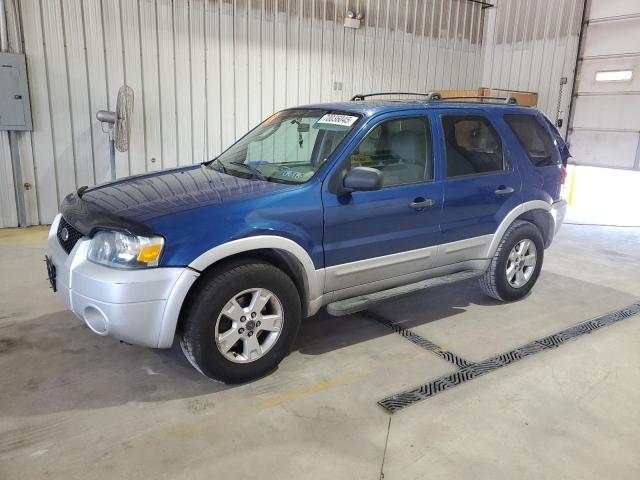 2007 FORD ESCAPE XLT, 