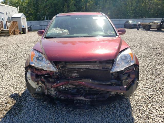 JHLRE4H71BC022224 - 2011 HONDA CR-V EXL MAROON photo 5