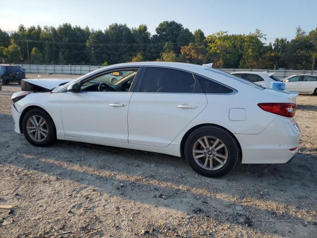 5NPE24AF7GH330872 - 2016 HYUNDAI SONATA SE WHITE photo 2