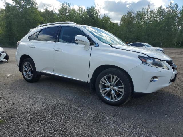 2T2BK1BA6DC211421 - 2013 LEXUS RX 350 BASE WHITE photo 4