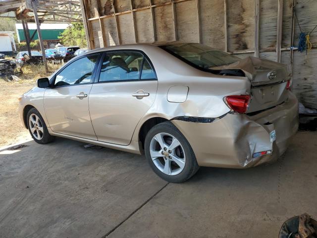 2T1BU4EE8CC764049 - 2012 TOYOTA COROLLA BASE ذهبي صورة 2