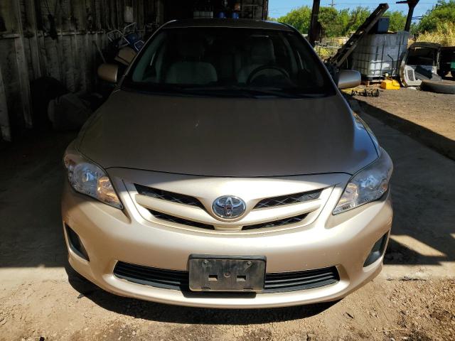 2T1BU4EE8CC764049 - 2012 TOYOTA COROLLA BASE ذهبي صورة 5