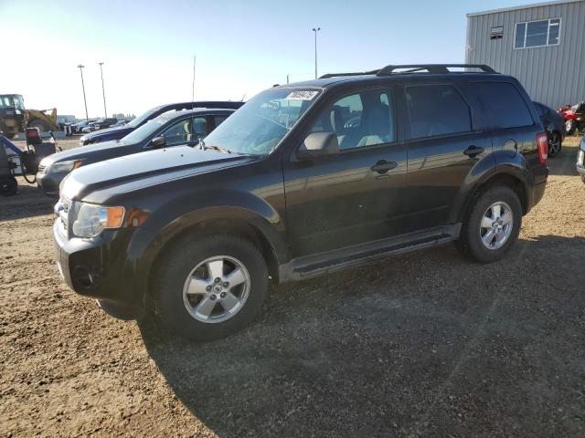 2012 FORD ESCAPE XLT, 