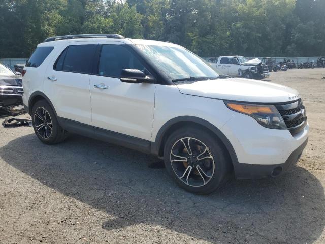 1FM5K8GT3DGC19333 - 2013 FORD EXPLORER SPORT Ağ foto 4