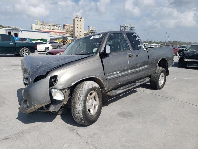 5TBRT34173S406595 - 2003 TOYOTA TUNDRA ACCESS CAB SR5 GRAY photo 1