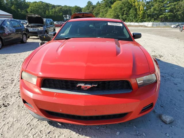 1ZVBP8AM4B5132766 - 2011 FORD MUSTANG RED photo 5