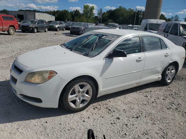 2010 CHEVROLET MALIBU LS, 