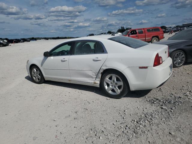 1G1ZB5EB5AF311438 - 2010 CHEVROLET MALIBU LS 白色 照片 2
