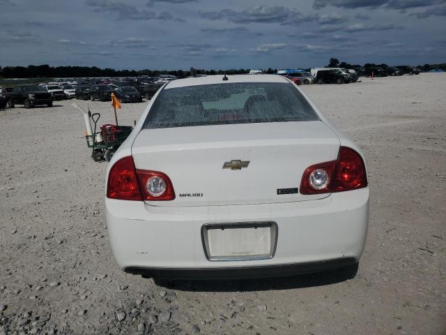 1G1ZB5EB5AF311438 - 2010 CHEVROLET MALIBU LS 白色 照片 6