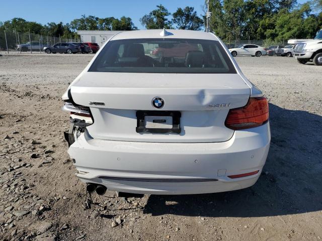 WBA2J3C59JVA49796 - 2018 BMW 230XI WHITE photo 6