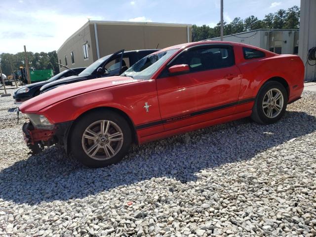 1ZVBP8AM6D5275916 - 2013 FORD MUSTANG RED photo 1