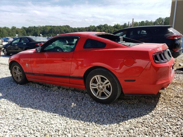 1ZVBP8AM6D5275916 - 2013 FORD MUSTANG RED photo 2