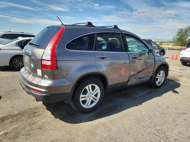 5J6RE4H73AL068272 - 2010 HONDA CR-V EXL BROWN photo 3