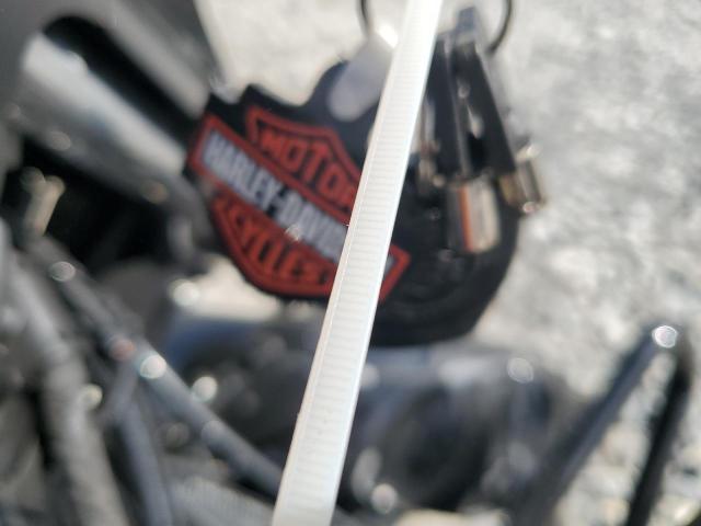 1HD1KB719RB623819 - 2024 HARLEY-DAVIDSON FLHX Սև լուսանկար 8
