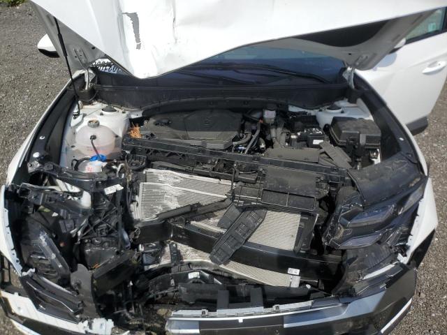 3KMJACDE8SE003485 - 2025 HYUNDAI TUCSON SE 白色 照片 12