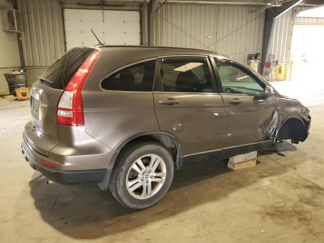 5J6RE4H79AL046583 - 2010 HONDA CR-V EXL GRAY photo 3