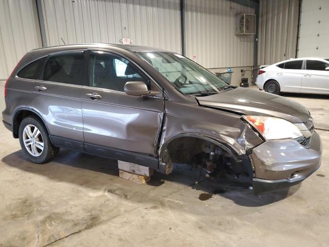 5J6RE4H79AL046583 - 2010 HONDA CR-V EXL GRAY photo 4