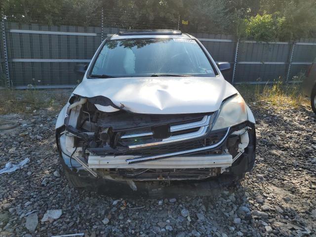 5J6RE4H59AL075256 - 2010 HONDA CR-V EX WHITE photo 5