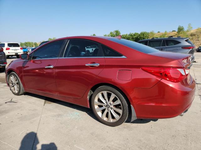 5NPEC4AC8DH711497 - 2013 HYUNDAI SONATA SE წითელი ფოტო 2