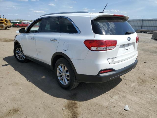 5XYPG4A31GG126947 - 2016 KIA SORENTO LX WHITE photo 2