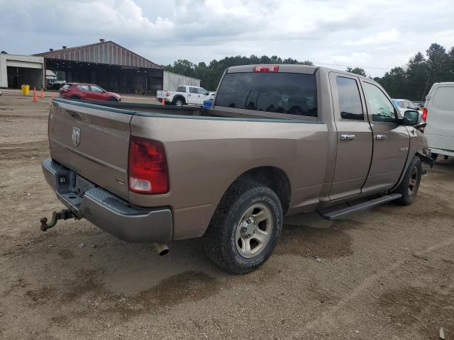 1D3HB18P99S722306 - 2009 DODGE RAM 1500 棕色 照片 3