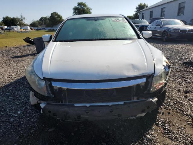 1HGCP2F69BA040186 - 2011 HONDA ACCORD SE WHITE photo 5