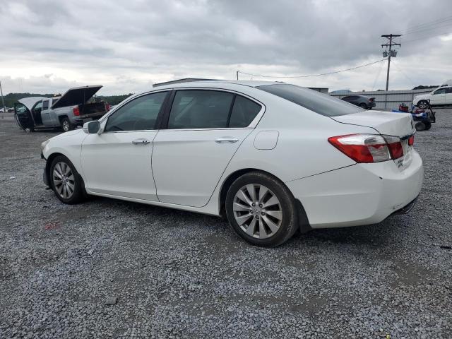 1HGCR2F70FA050436 - 2015 HONDA ACCORD EX თეთრი ფოტო 2