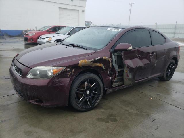 JTKDE177960076491 - 2006 TOYOTA SCION TC BURGUNDY photo 1