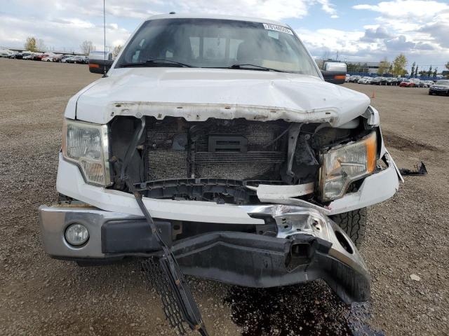 1FTFW1EV1AFA37611 - 2010 FORD F150 SUPERCREW WHITE photo 5