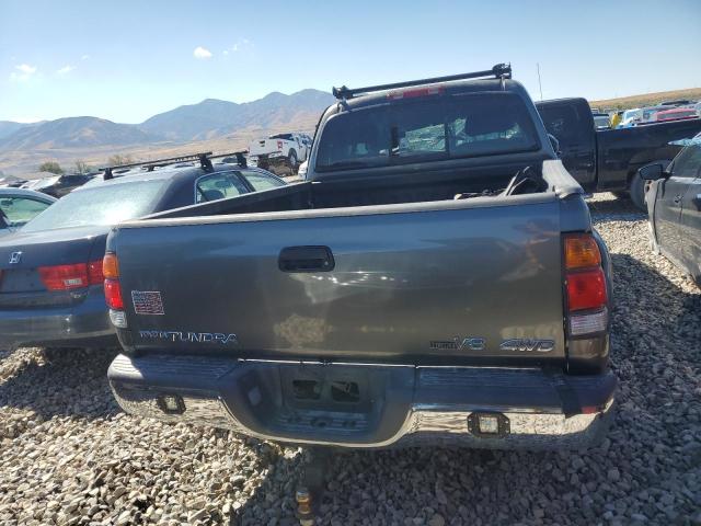 5TBBT44103S361829 - 2003 TOYOTA TUNDRA ACCESS CAB SR5 GRAY photo 6