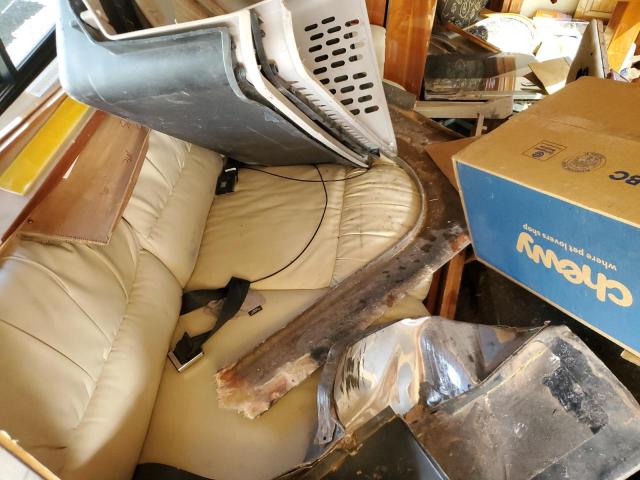 1RF10551061038035 - 2006 ROADMASTER RAIL MONOCOQUE ذو لونين صورة 6