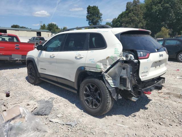 1C4PJMBX7KD123478 - 2019 JEEP CHEROKEE TRAILHAWK WHITE photo 2