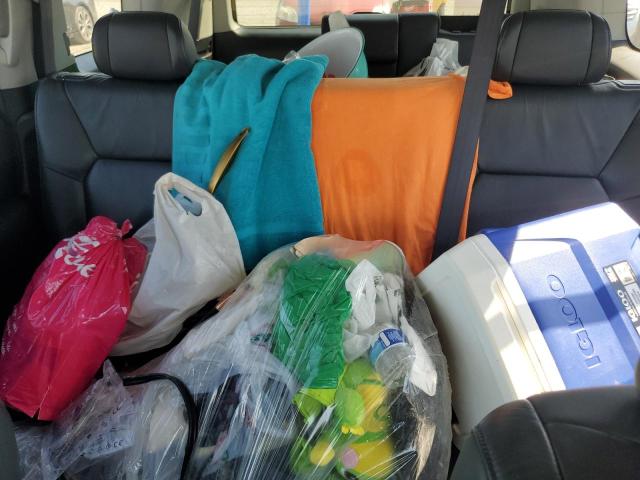 5FNYF3H58AB016985 - 2010 HONDA PILOT EXL 银色 照片 10