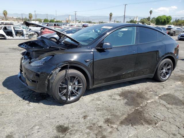 2025 TESLA MODEL Y, 