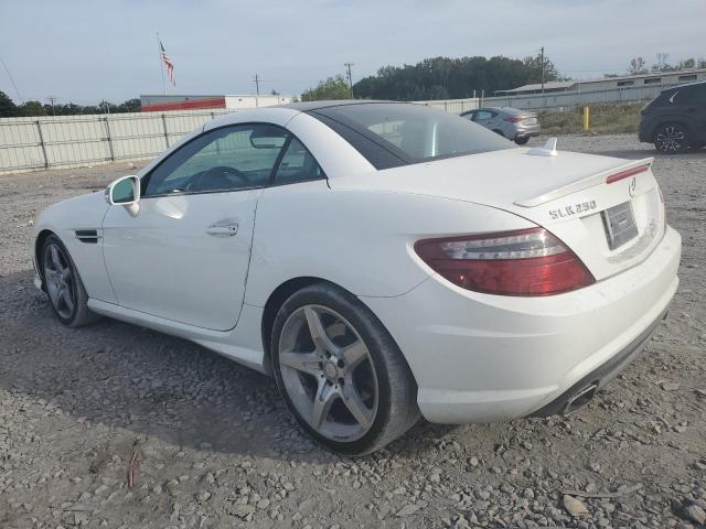 WDDPK4HA9EF085590 - 2014 MERCEDES-BENZ SLK 250 WHITE photo 2