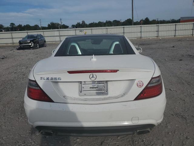 WDDPK4HA9EF085590 - 2014 MERCEDES-BENZ SLK 250 WHITE photo 6