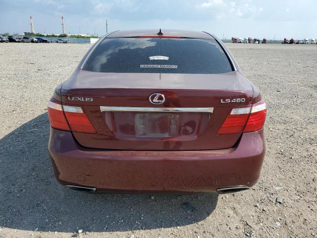 JTHBL46F775044432 - 2007 LEXUS LS 460 BURGUNDY photo 6