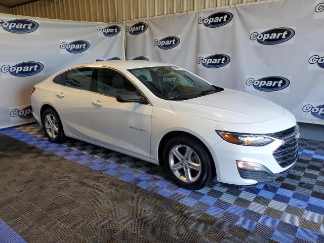 1G1ZB5ST4MF085250 - 2021 CHEVROLET MALIBU LS WHITE photo 4