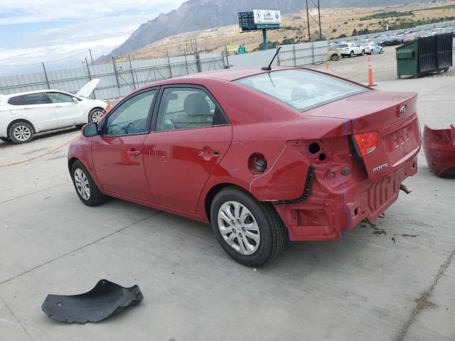 KNAFU4A24D5729808 - 2013 KIA FORTE EX RED photo 2