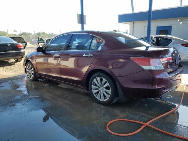 1HGCP3F84CA031288 - 2012 HONDA ACCORD EXL Bordo foto 2