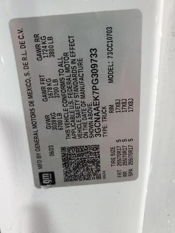 3GCNAAEK7PG309733 - 2023 CHEVROLET SILVERADO C1500 Ağ foto 12