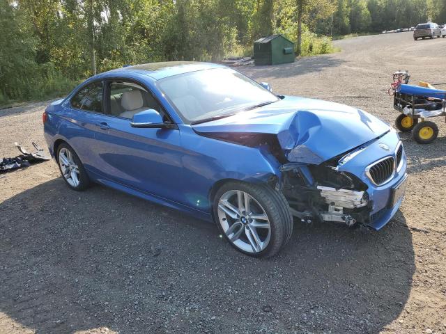 WBA2H9C53HV641944 - 2017 BMW 230XI Azul foto 4