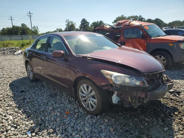 1HGCP2F83BA075937 - 2011 HONDA ACCORD EXL BURGUNDY photo 4
